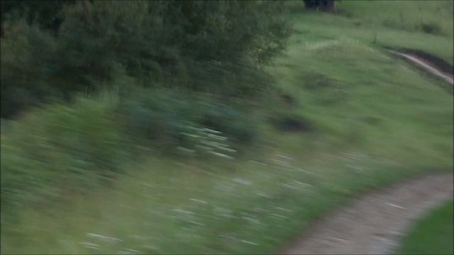 Даша, с днем рождения!)♥ смотреть онлайн