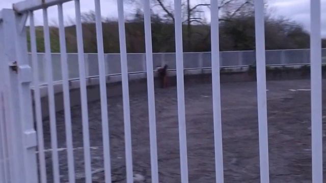 ПОЧЕМУ В ЕВРОПЕ ТАК ВОНЯЕТ? смотреть онлайн