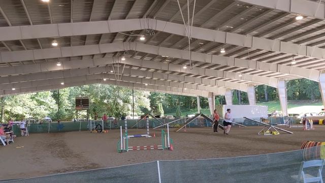 September 2020 Canine Capers Agility Trial - Novice JWW & Standard смотреть онлайн