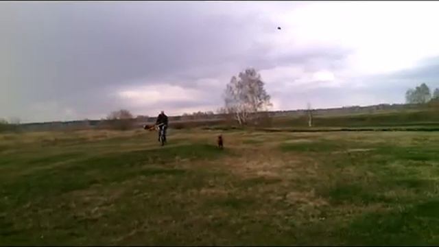 ура, у нас прогулка смотреть онлайн