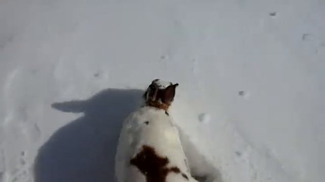Мой маленький друг !!! смотреть онлайн