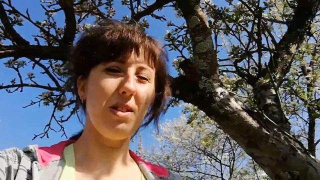 Весеннее настроение //Первая стирка джемпера