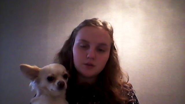Чем кормить собаку на натуралке. Самый простой и полезный рецепт смотреть онлайн