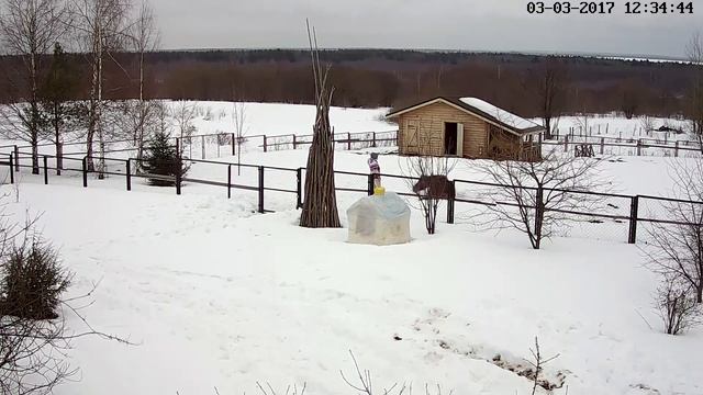 Танцы лошади за сахар смотреть онлайн