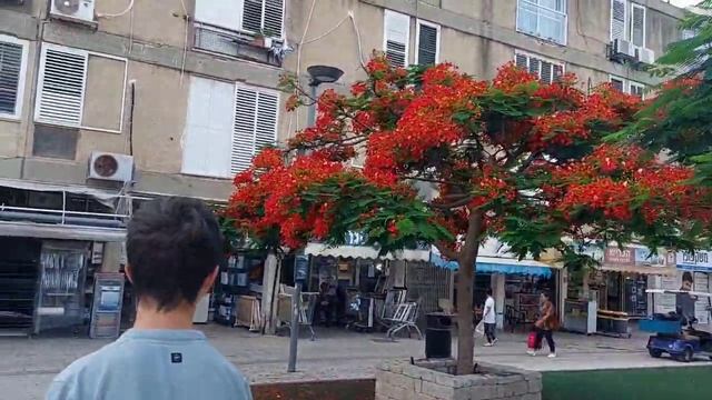25 ОБМАНУЛИ В ИЗРАИЛЕ Сын сбежал с уроков Отчёт перед мужем о покупках в дом смотреть онлайн