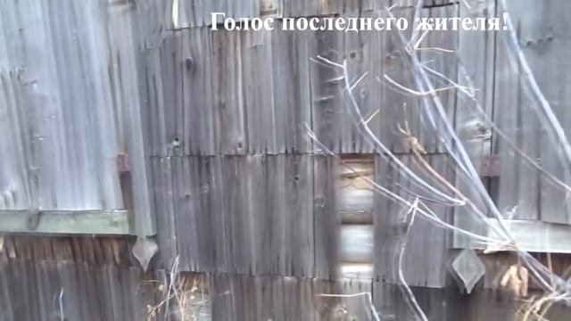 #Покинутый мир. Мертвая деревня. Сталк. смотреть онлайн