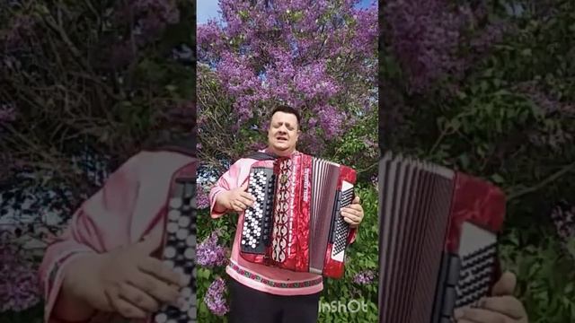 Одинокая ветка сирени ! смотреть онлайн