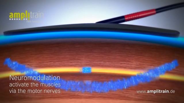 AmpliTrain EMS Training 3 0 English Kopia