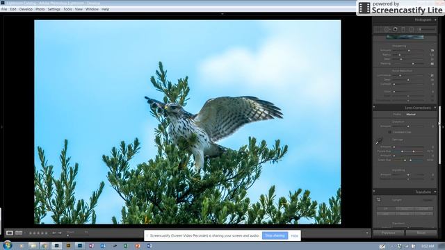 Lightroom work flow. смотреть онлайн