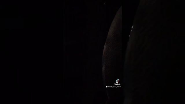 Морская рыбалка в Туапсе. Подбираем ключики. смотреть онлайн