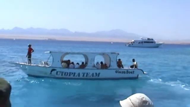 Экскурсия на Остров Утопия смотреть онлайн