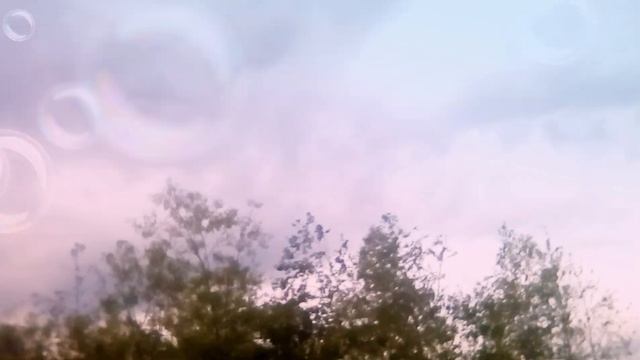 Пішли до лугу побачили стару аптеку і гарний крайовид на жабник смотреть онлайн