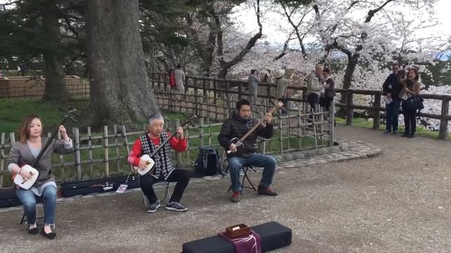 Сямисэн стиля «цугару» в замке Хиросаки / Shamisen Playing In Hirosaki Castle