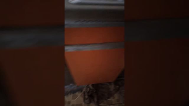 Один дома 7 лет смотреть онлайн