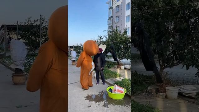 Напрасно сохнет белье... Меня тоже избили, убив сразу двух зайцев. Медвежонок Пеппи Ф смотреть онлайн