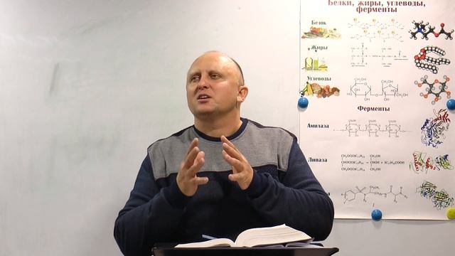 Доктор Олег Сухомлин "Источники белка" встреча 7 смотреть онлайн