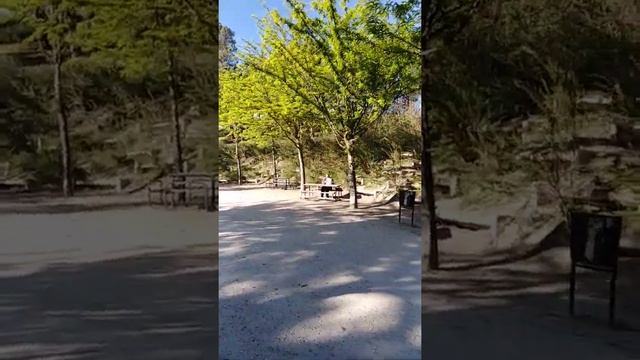 İspaniya Madrid şəhərindən Park gezintisi смотреть онлайн