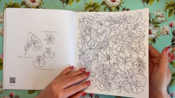 Flowerscape in Paradise | Colouring Book Review