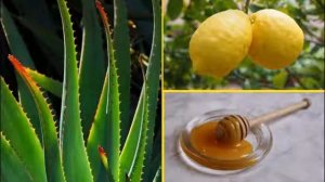 Лечение с помощью алоэ. Рецепты приготовления в домашних условиях.