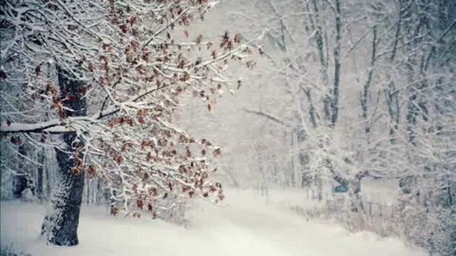 Песня Не кружись метелица