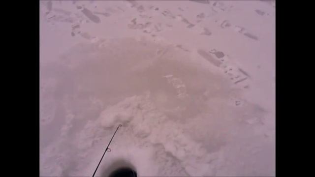 Рыбалка на судака в Канаде смотреть онлайн