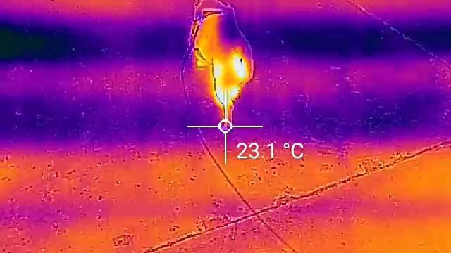 FLIR ONE Thermal Imaging camera for Android pre-release video demo смотреть онлайн