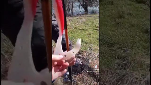 Охранники озера настоящие козлы !) смотреть онлайн