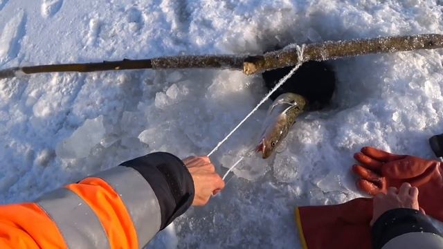 Проверка тычек в ноябре. Река Алдан смотреть онлайн