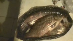 Ловля в апреле Краснодар рыбалка