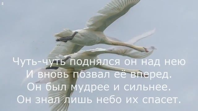 Андрей Дементьев - Два лебедя