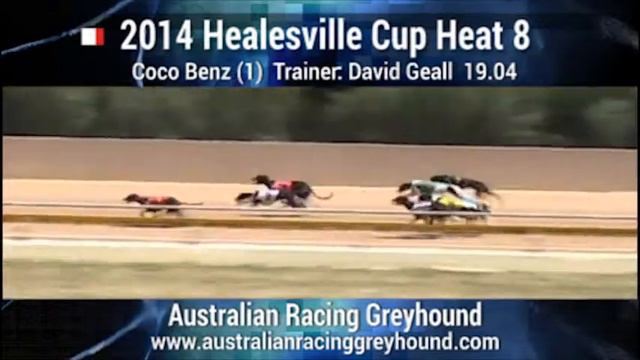 2014 Healesville Cup Heat 8 смотреть онлайн