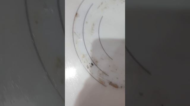 Гринвэй спонж сплиттер разочарование смотреть онлайн