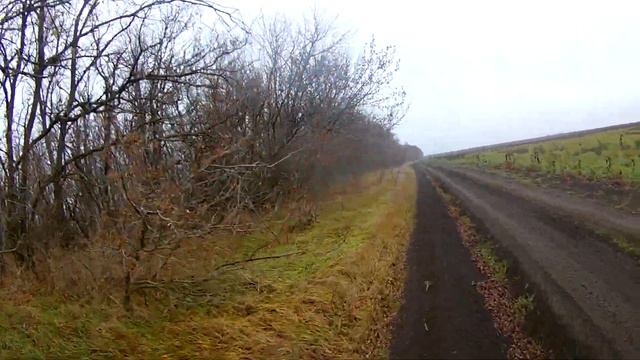 Открытие охоты по зайцу. Сезон 2021-2022