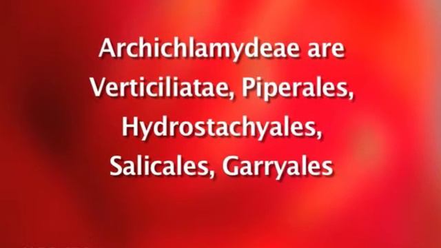 Salient features of classification system by Engler & Prantl смотреть онлайн