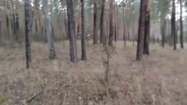 Зачем семья Влада Бахова уничтожала важные улики? ? Дело Влада Бахова ✔️ Бахов ✔️ Влад Бахов смотреть онлайн