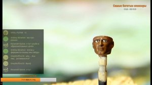 Стримота № 8 Роспись  лица 1/35 , Покраска головы фигуры