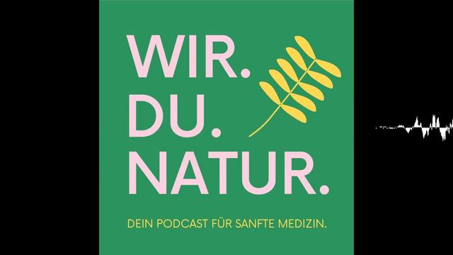 Wir beantworten Hörerfragen zum Thema Enzyme | Facharzt Peter Emmrich M.A. | WIR.DU.NATUR смотреть онлайн