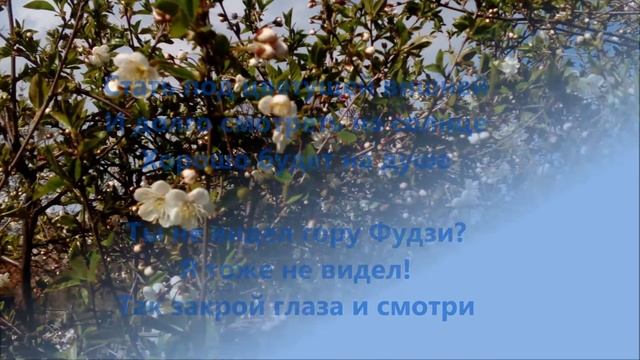 Цветущие деревья весной смотреть онлайн