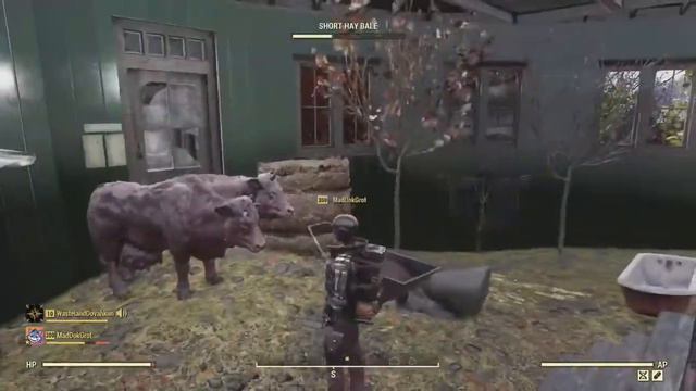 Fallout 76 Subscriber C A M P Tour #5 The Cozy Castle Round House смотреть онлайн