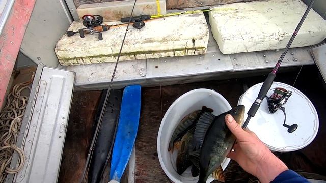 #Карелия#Рыбалка#Палатка#Снегирь4ТЛонг#Хариус#Окунь День второй, рыбалку которую планировал. смотреть онлайн