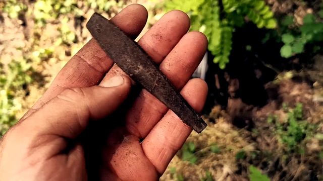 Коп монет в парке с металлоискателем Квазар АРМ