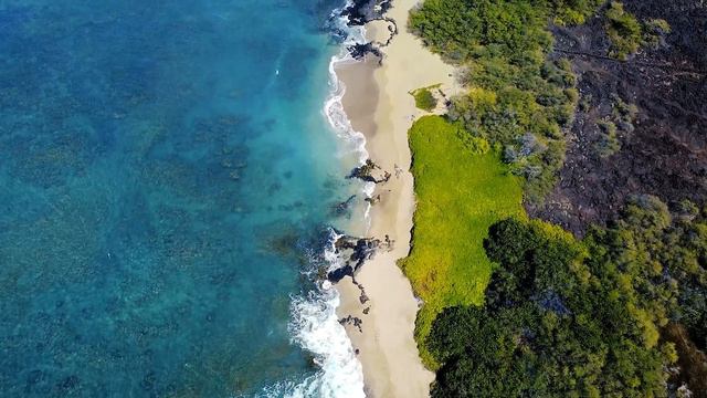 I did It! Moved to Hawaii (Ep 7.) Big Island Life in Pahoa, Big Island of Hawaii. смотреть онлайн