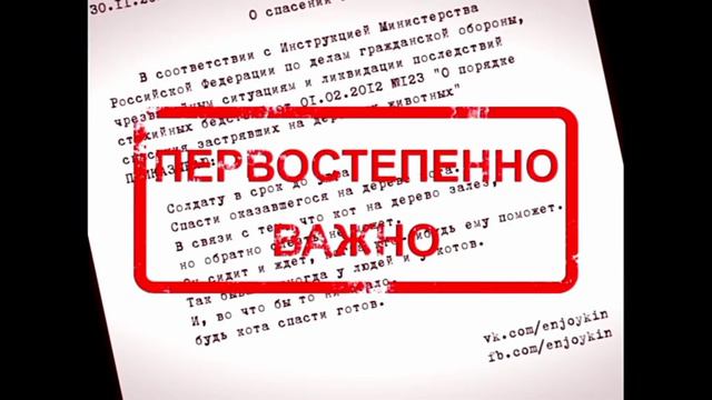 Куда Пропал Enjoykin | Что Случилось с Энджойкиком | Когда Вернётся Enjoykin | Кто Такой Enjoyler