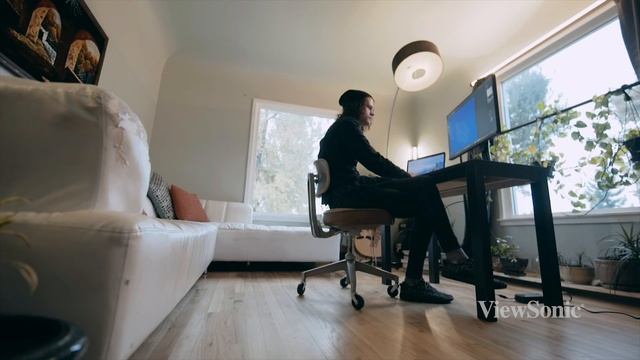 Web Designer Francois Creates on a ViewSonic ColorPro Monitor смотреть онлайн