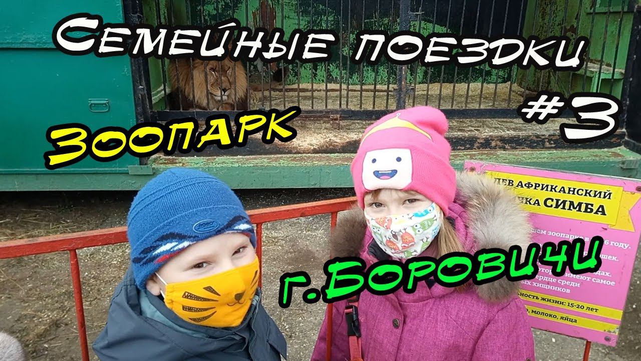 Семейные поездки #3 | Прогулка в мини зоопарк г.Боровичи | Новгородская область смотреть онлайн