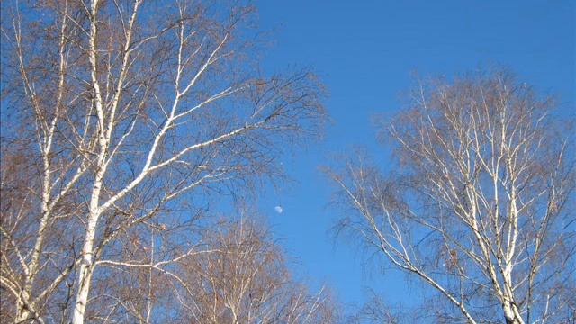 Вера Снежная Мартовский снег! смотреть онлайн