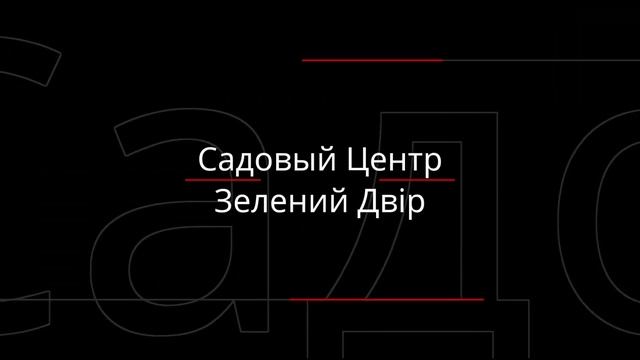 Садовый Центр Зелений Двір - Роза Руби Стар С3 смотреть онлайн