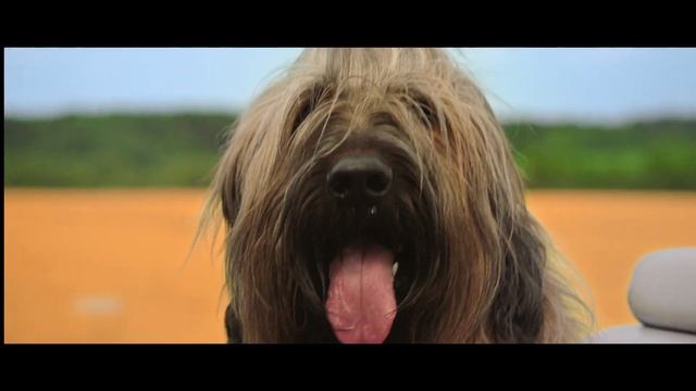 Супер — лето безлимитов: дополнительные безлимиты интернета бесплатно для новых абонентов! смотреть онлайн