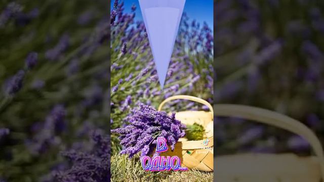 4 января 2022 г. смотреть онлайн