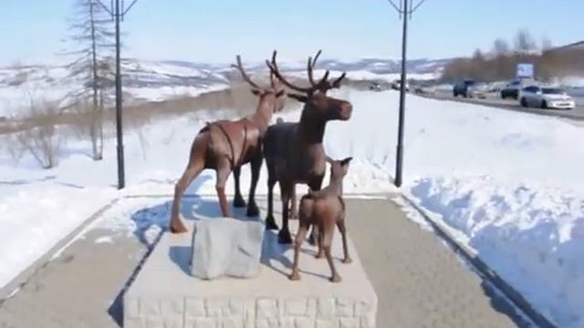 Олени в Магадане. смотреть онлайн